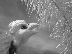 Thailand_OctNovDec_2010_Ayutthaya_Infrared_2672 - Copy